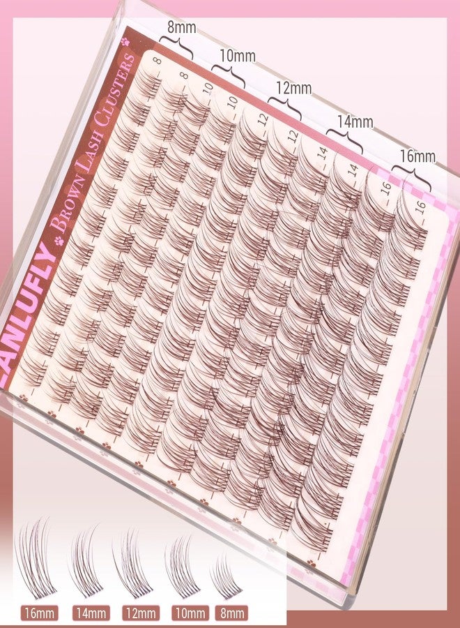 zanlufly Brown Lash Clusters Natural Eyelash Clusters Invisible Band Brown Lash Extension C Curly Dark Brown Wispy Lash Extension DIY Individual Eyelash Extension by zanlufly - Image 5